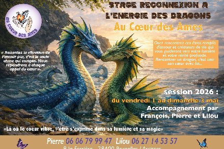 Stage Reconnexion à l'énergie des dragons