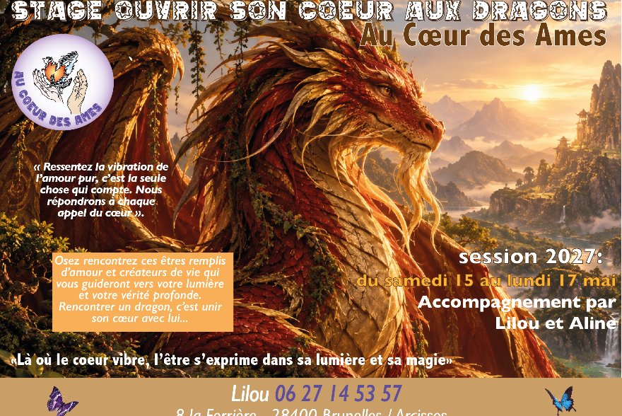 Stage Reconnexion à l'énergie des dragons