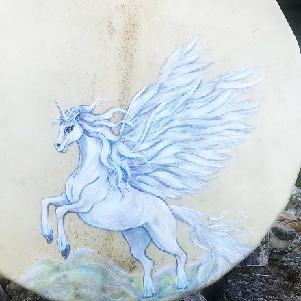 Tambour La magie de Pégase (tambour 16)