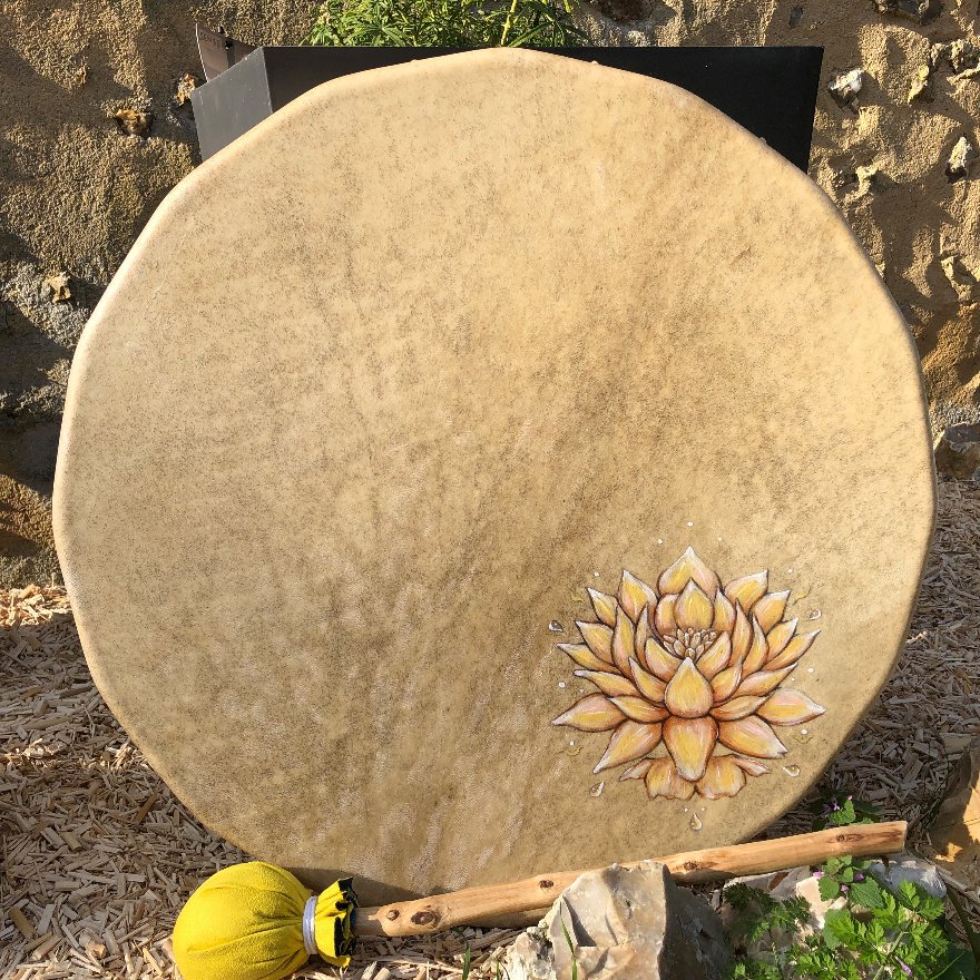 Tambour Tortue lotus (tambour 59)